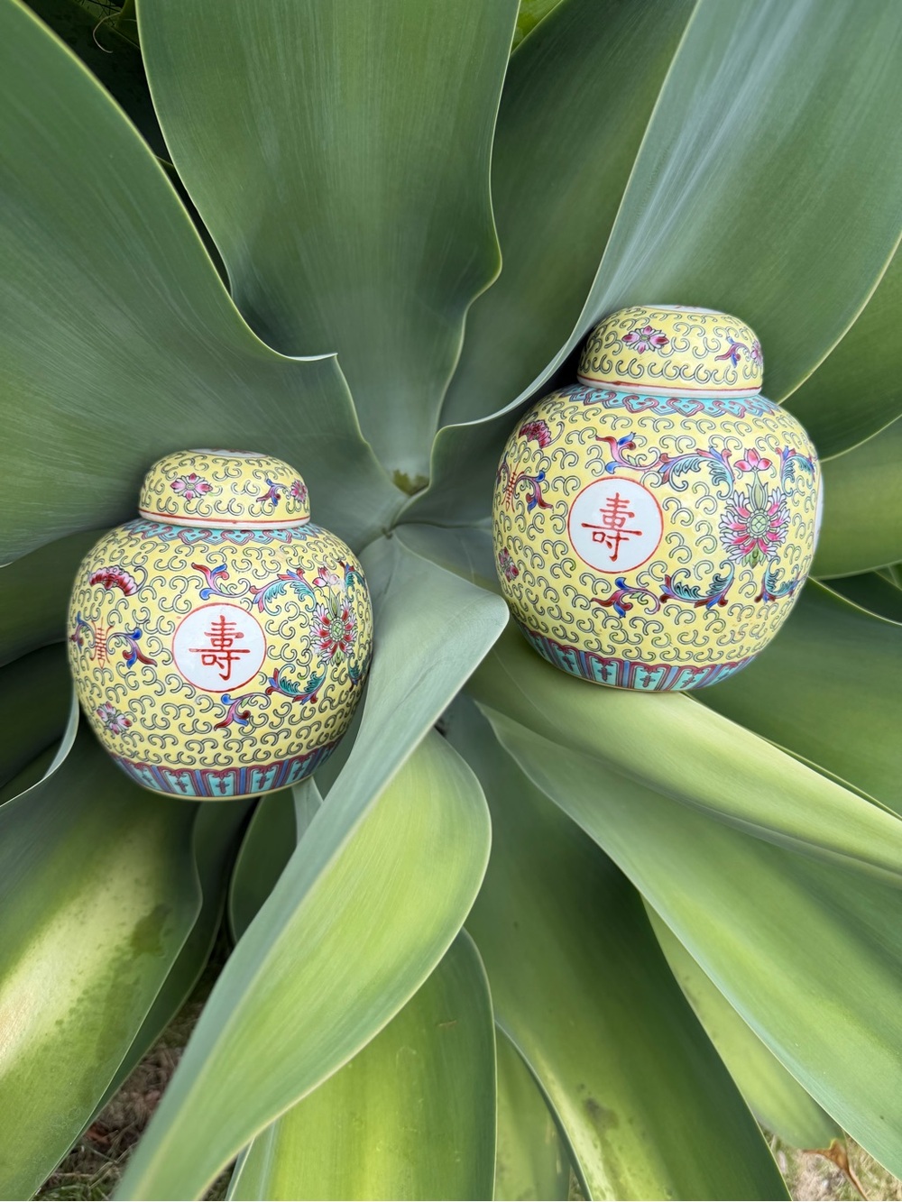 Vintage pair of yellow Famiile Rose 6” Ginger Jars